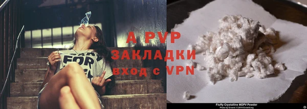 индика Бронницы