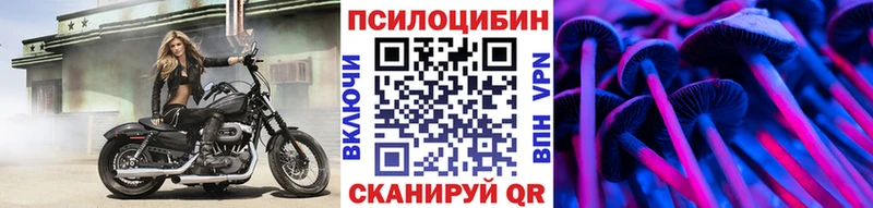 наркошоп  Ставрополь  Псилоцибиновые грибы GOLDEN TEACHER 