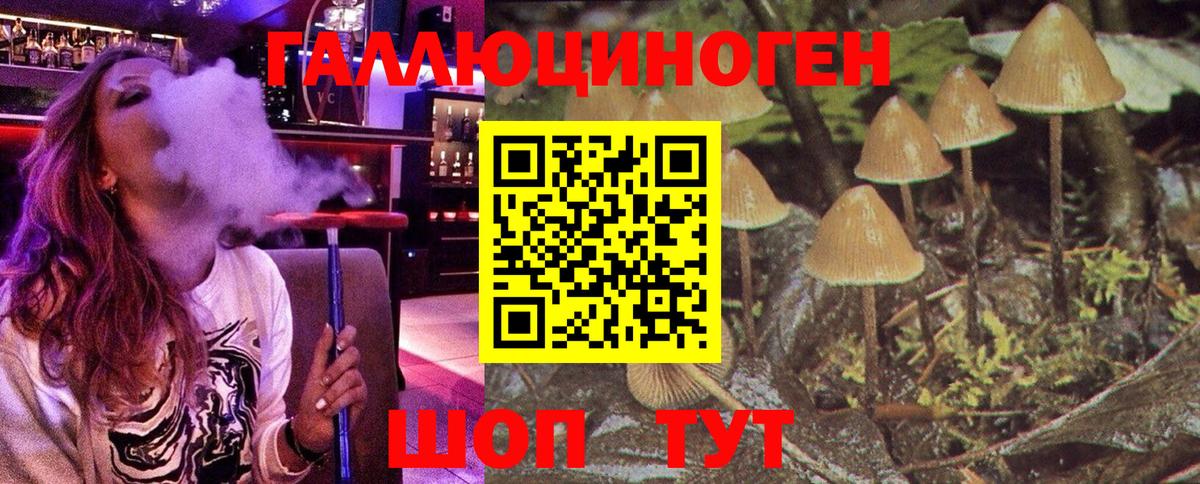 Галлюциногенные грибы Psilocybine cubensis Ставрополь