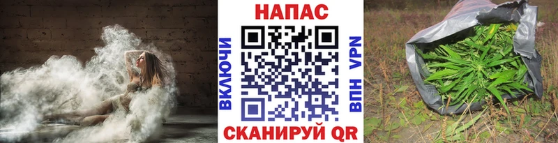 Бошки марихуана планчик  мега tor  Ставрополь  купить наркотик 